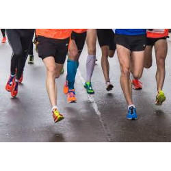 Equip bàsquet masculí ANUAL